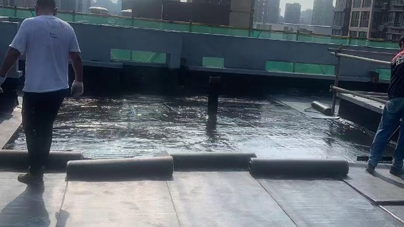 卫生间防水材料尺寸参数全解析，十大品牌对比解读**