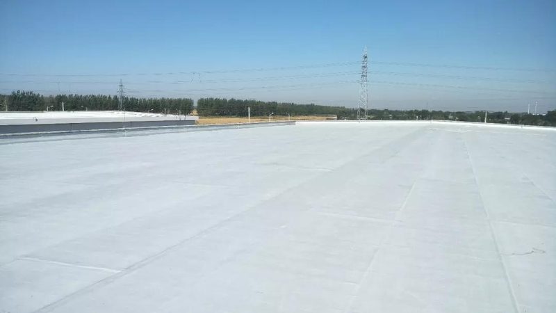 JS防水涂料：大桥牌的工艺与价格解析